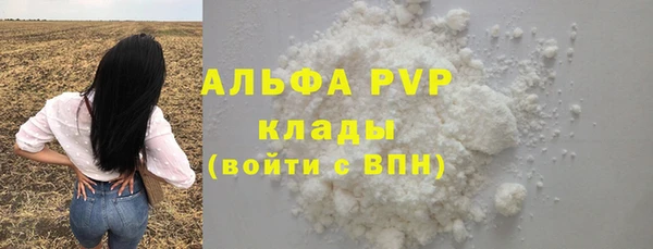 PSILOCYBIN Иннополис
