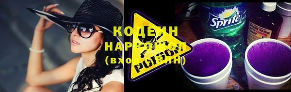 крисы Инсар