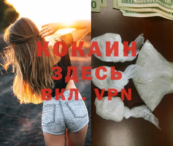 крисы Инсар