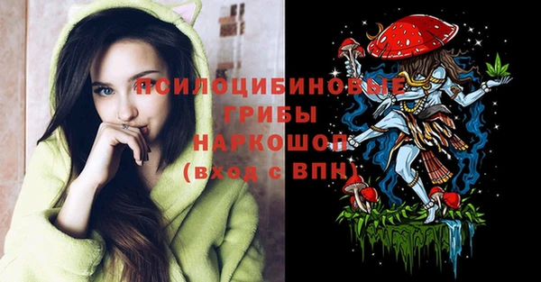 крисы Инсар