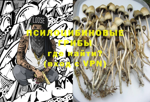 крисы Инсар